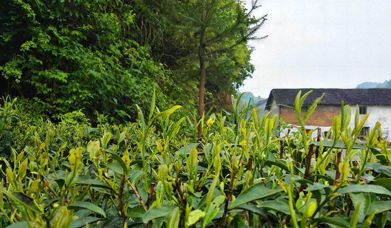 ��Դ��ˇ�����^