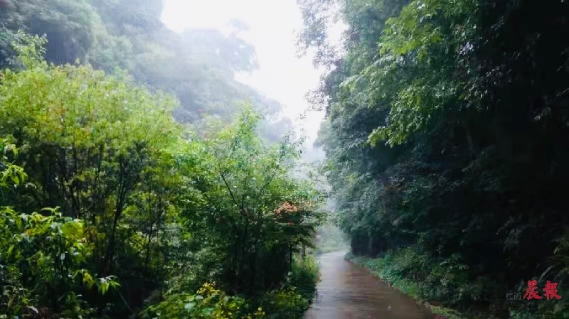 �ֵ�һ��ɲ輾 ��Դ��ɽ�{�ȴ��紺������