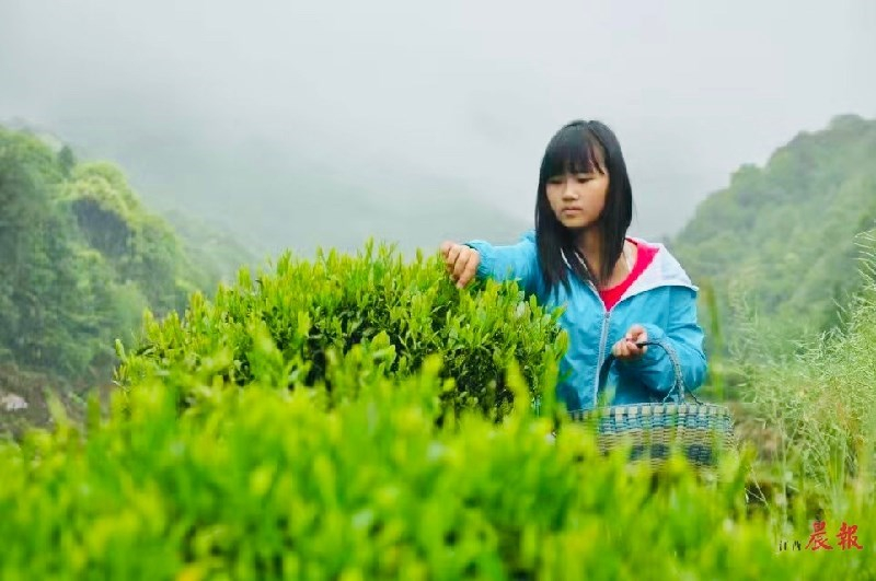 �ֵ�һ��ɲ輾 ��Դ��ɽ�{�ȴ��紺������