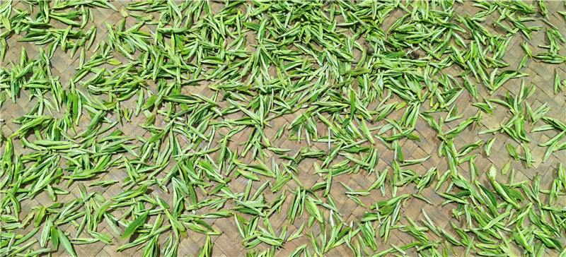 �{�ȴ����