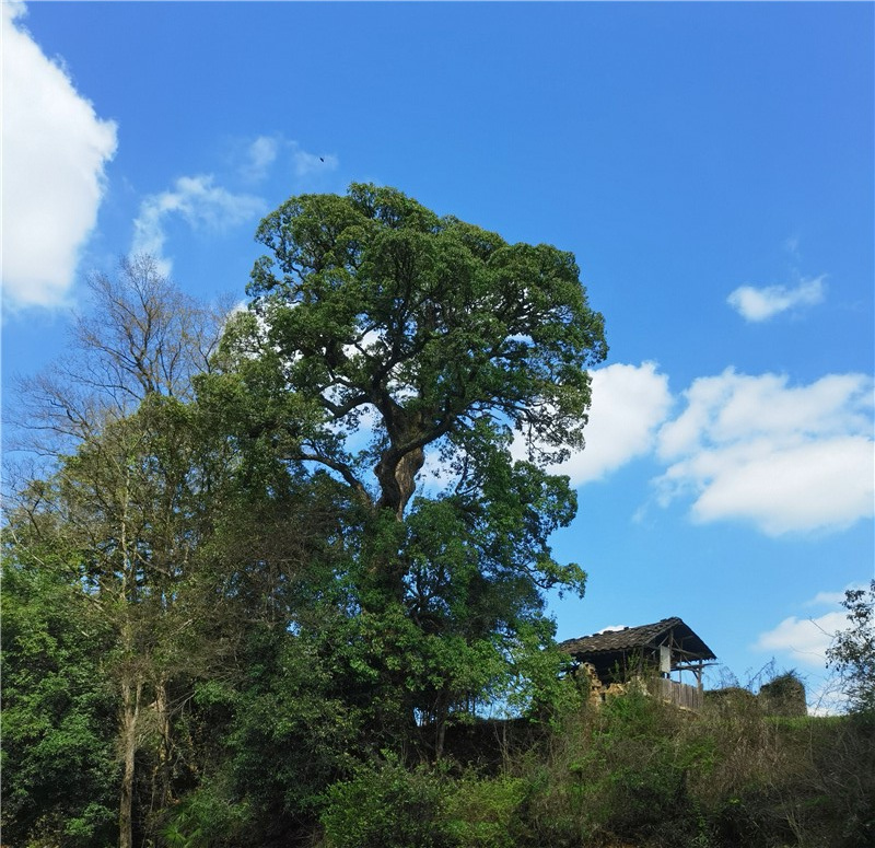 ˼����Դ���L��