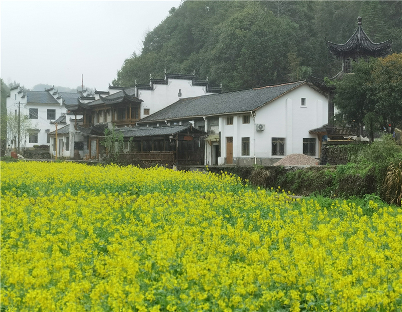 ˼����Դ���L��