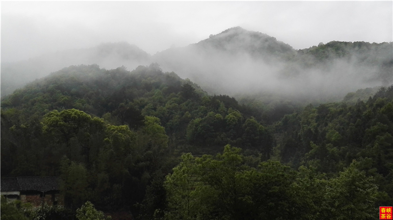 �}�{�ȴ���