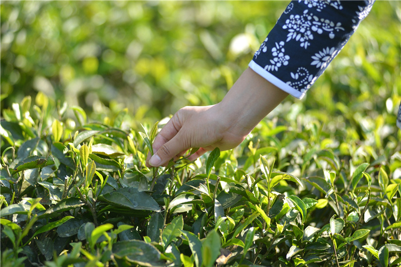 ���ܲ����ܡ���M�ʁ�����֪�R