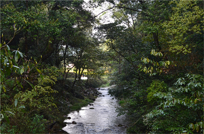 ��������Ԋ�� ��t��������Ԋ��