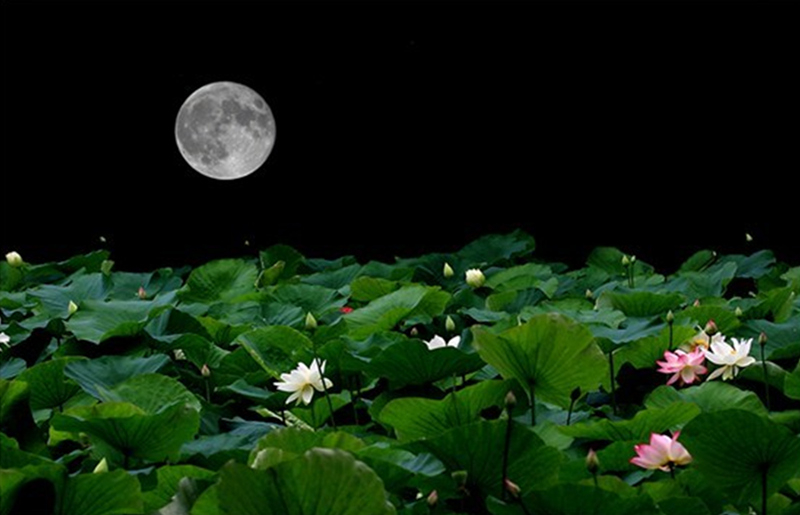 ��Դ�˵����﹝(ji��)