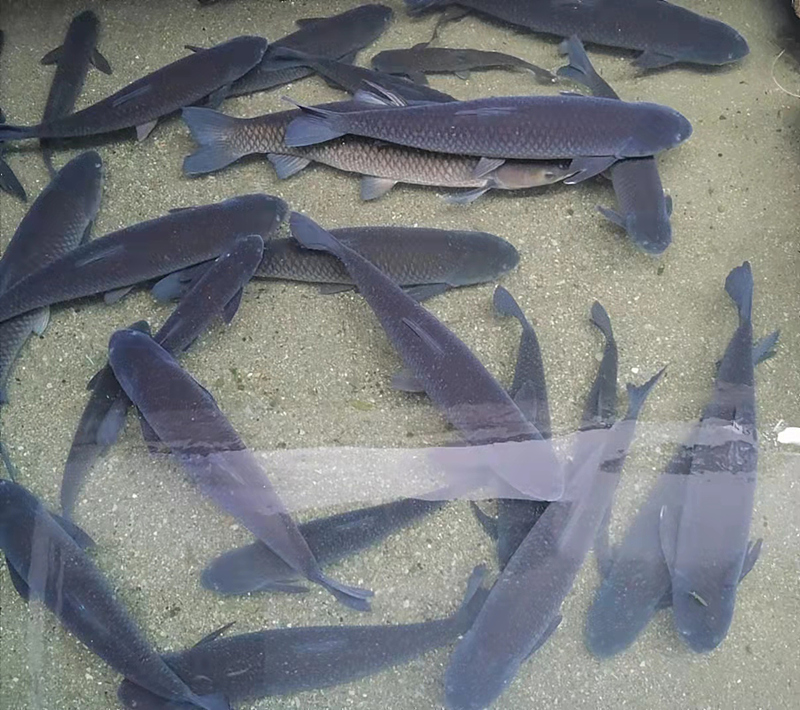 ��Դ�˵����﹝(ji��)