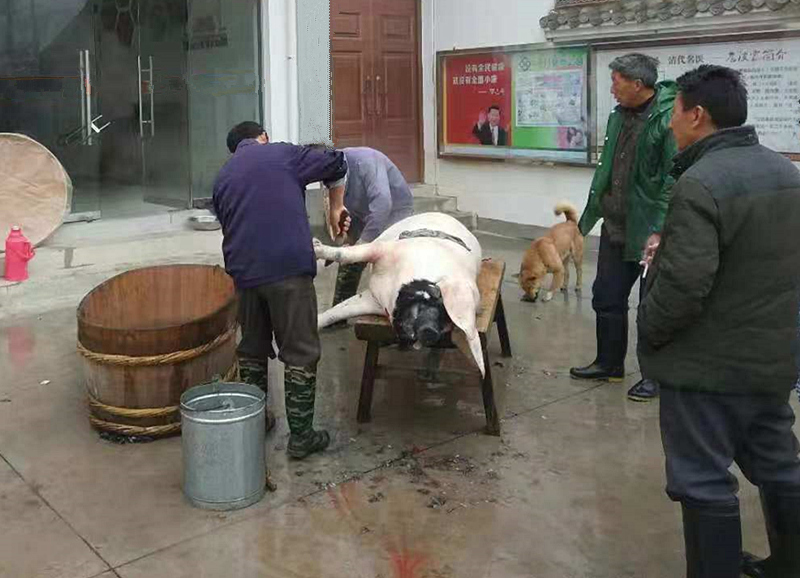 ��Դ�˵����﹝(ji��)