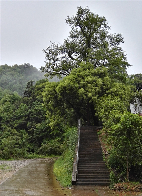 ���KԊ�ˡ�������Ԋ����