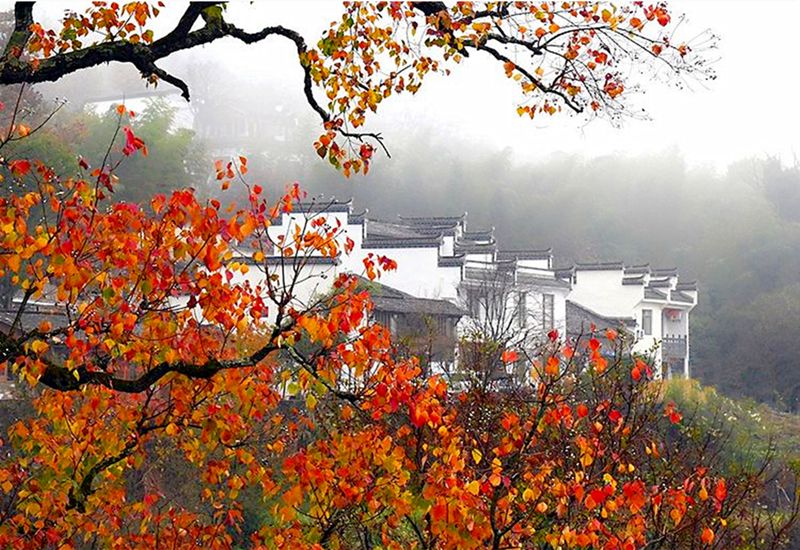 ���dԊ�ˣ�����Ԋ����