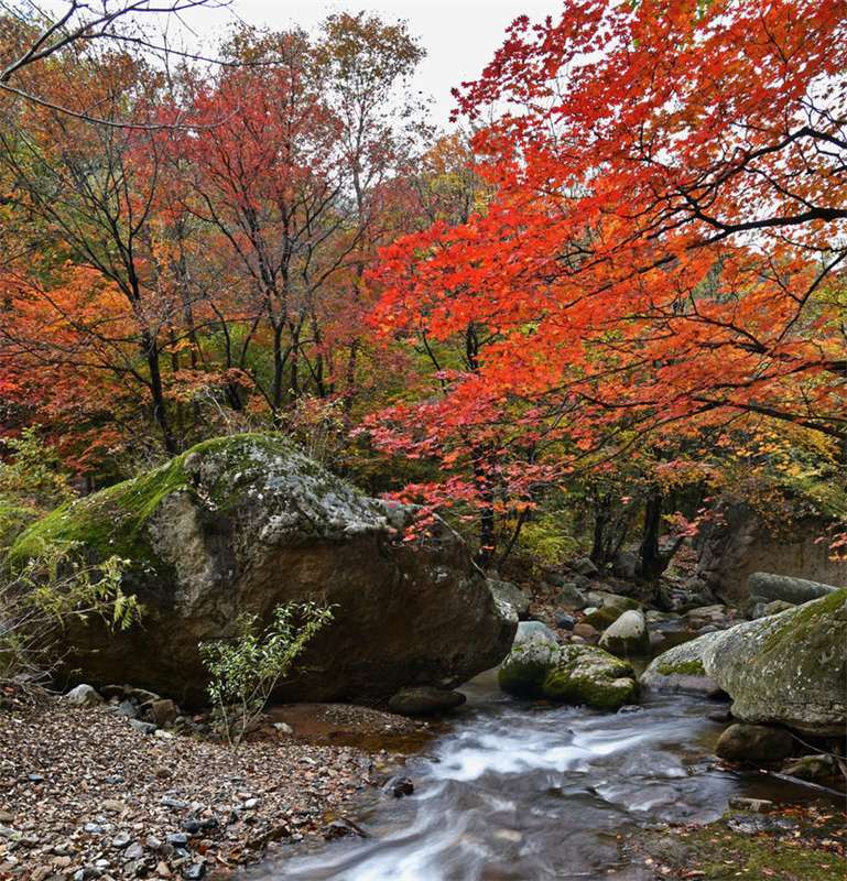 �ﶬ�t퍣�ղ����Ԋ��