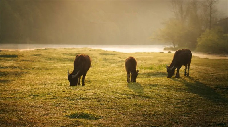 �ﶬ�t퍣�ղ����Ԋ��