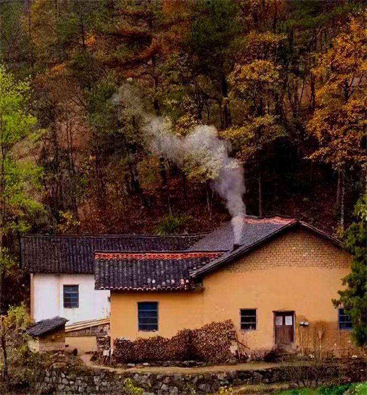 �����������ﶬԊ(sh��)�~�x