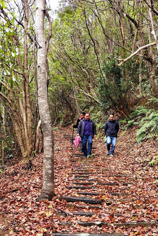 ���󶬵���Դ���^��X-����ͤ