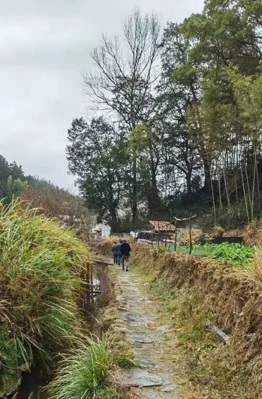 ���󶬵���Դ���^��X-����ͤ