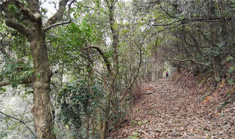 ���󶬵���Դ���^��X-����ͤ