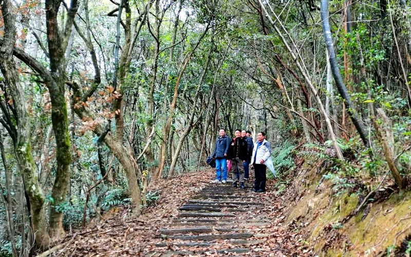 ���󶬵���Դ���^��X-����ͤ