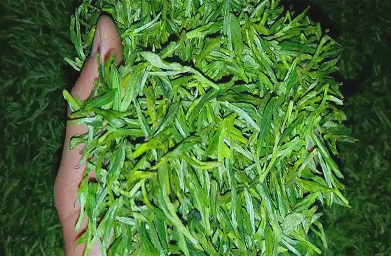 ������͵͵�������кȲ����