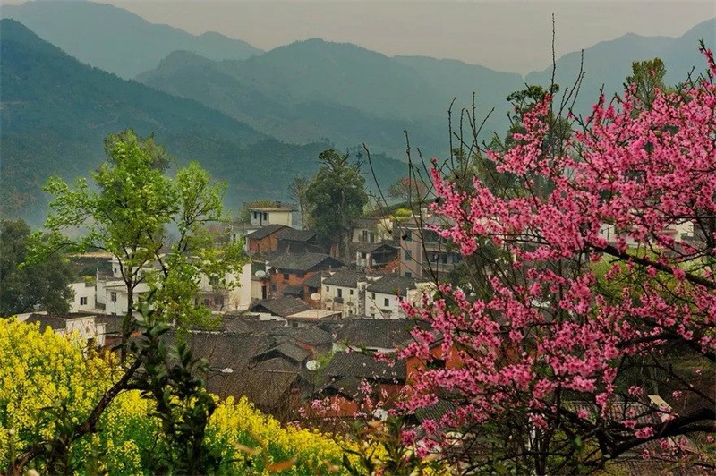 �������������_��֮�MԊ