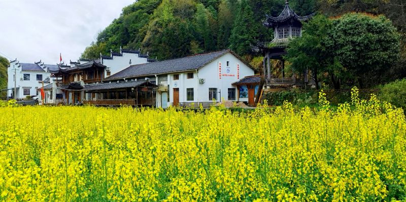 �������ꌣ݋