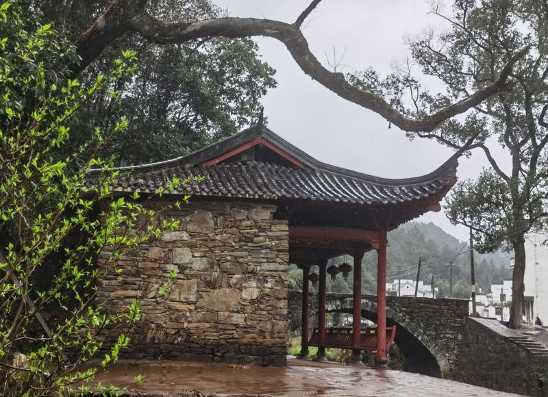 �������ꌣ݋