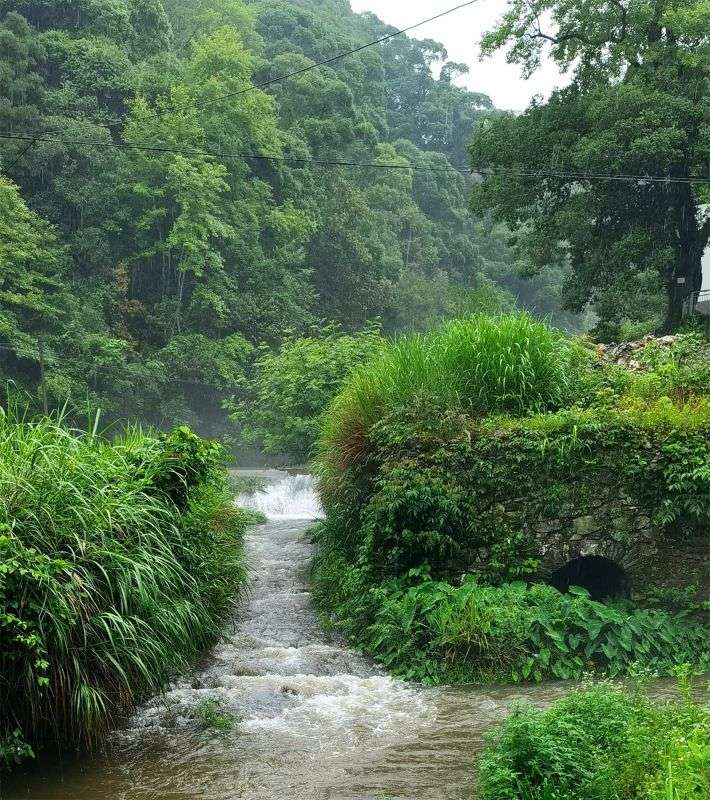 �������ꌣ݋