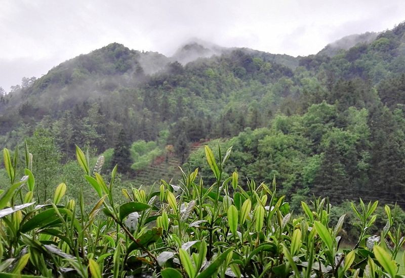 �������ꌣ݋