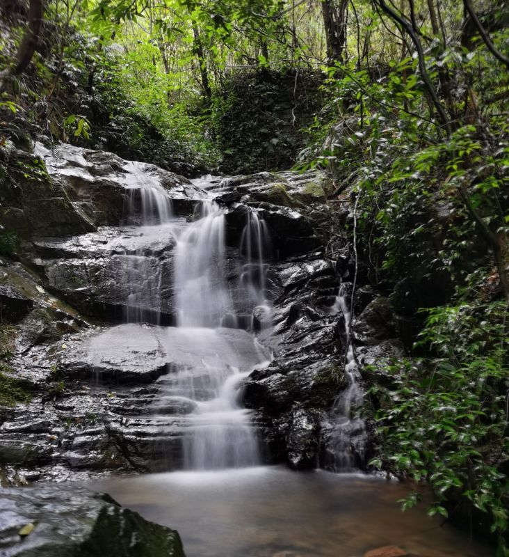 �������ꌣ݋