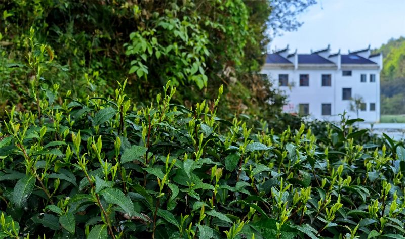 �������ꌣ݋