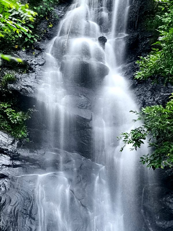 �������ꌣ݋