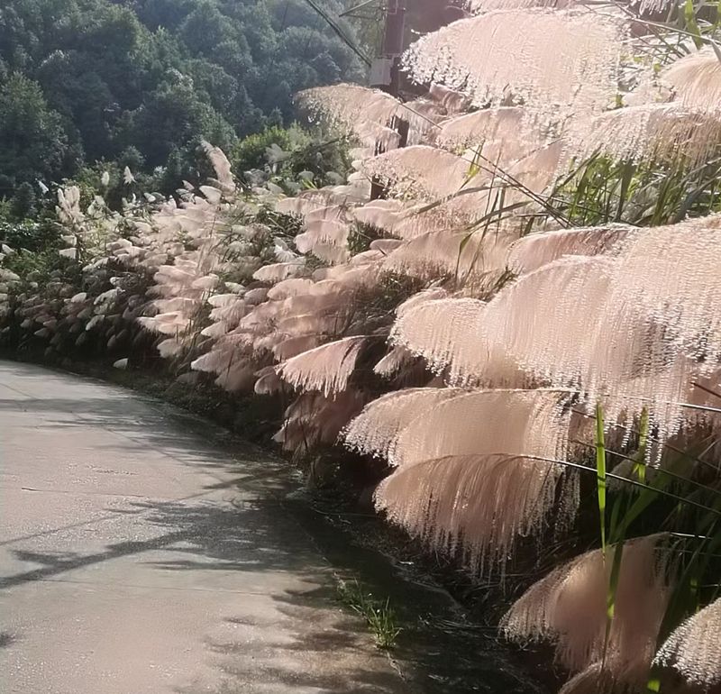 �������Ԋ(sh��)����