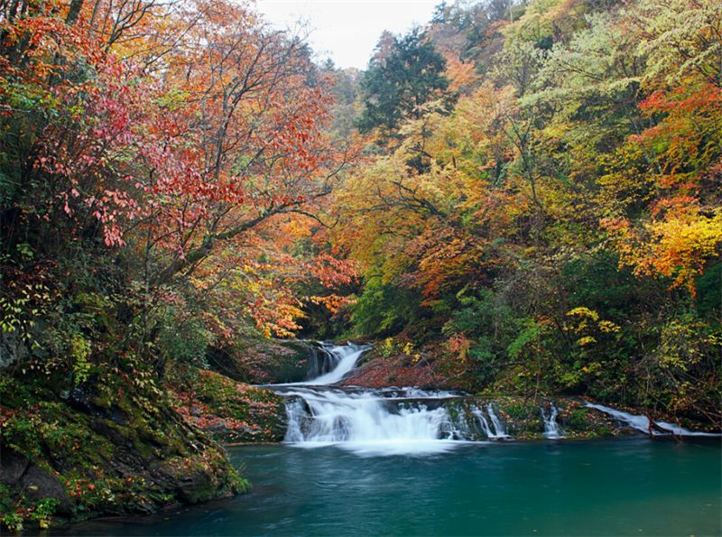 �������Ԋ(sh��)����