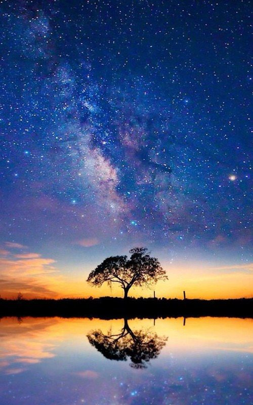 ���~Ԋ�⡪��ղ�����MԊ