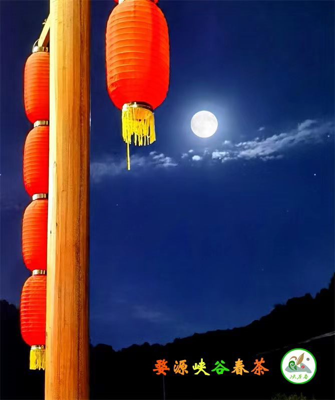 �p���졤Ԋ�ƻ���