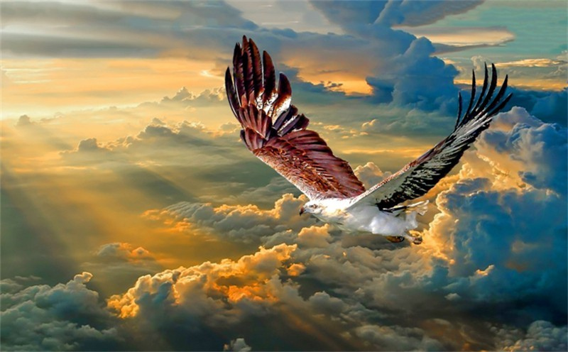 2023����ף��