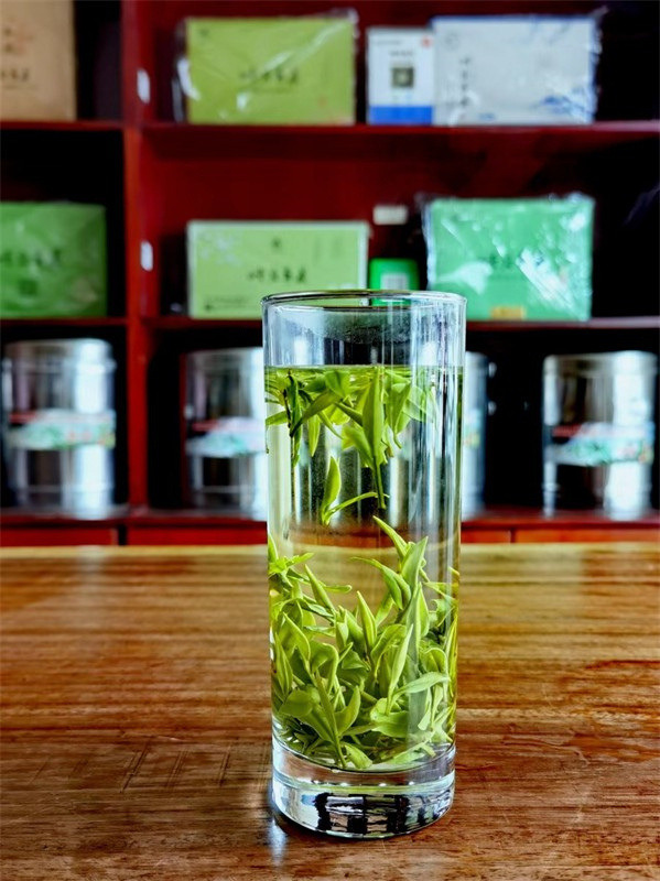 2023����ף��