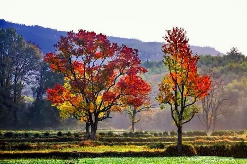 �����x�ώ�����Ԋ�~