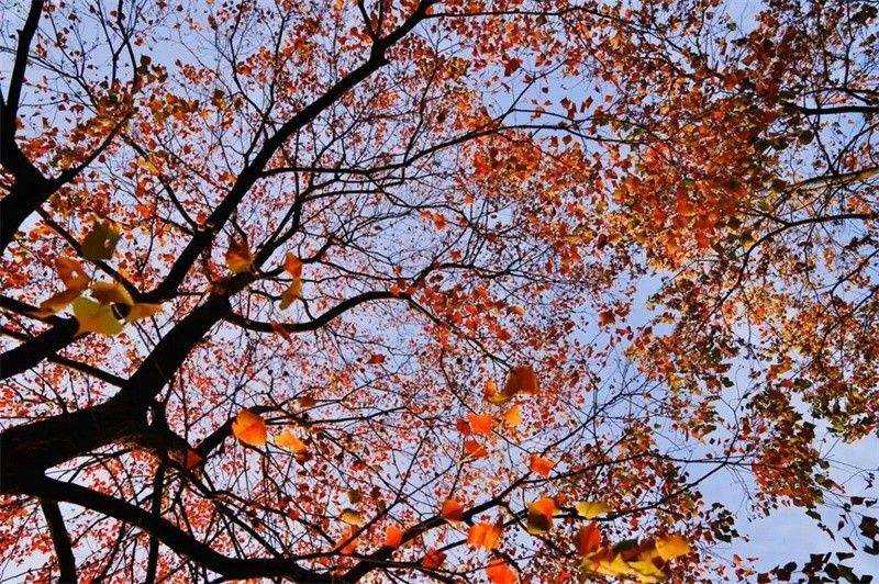 �����x�ώ�����Ԋ�~