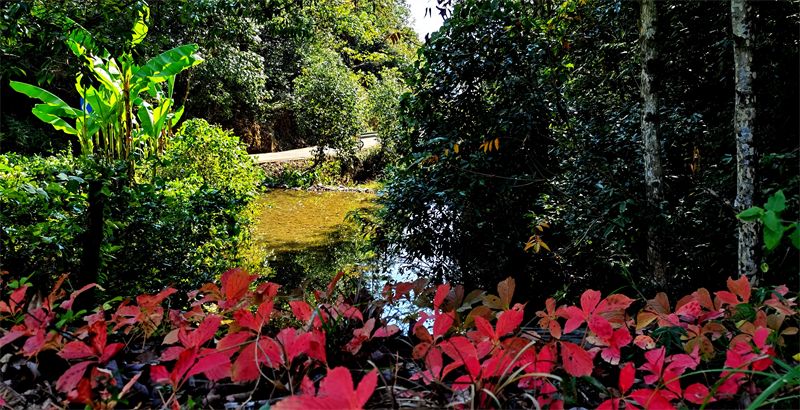 �����x�ώ�����Ԋ�~