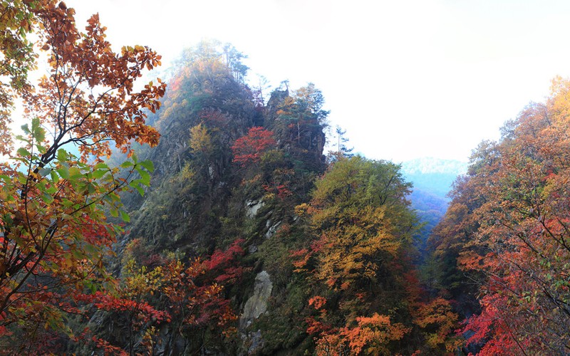 �����x�ώ�����Ԋ�~