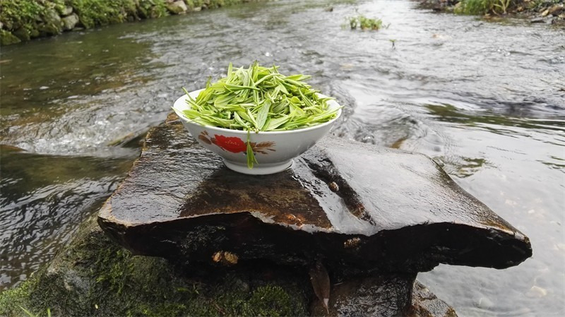 2023�����´�֮Ԋ�鮋�⣬�l(xi��ng)��ƪ