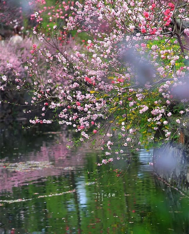 2023�����´�֮Ԋ�鮋�⣬�l(xi��ng)��ƪ