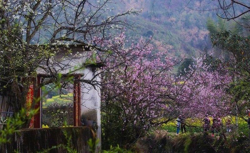 2023�����´�֮Ԋ�鮋�⣬�l(xi��ng)��ƪ