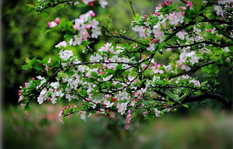 ���L������ϼů,��Ұ�܇��ľ��