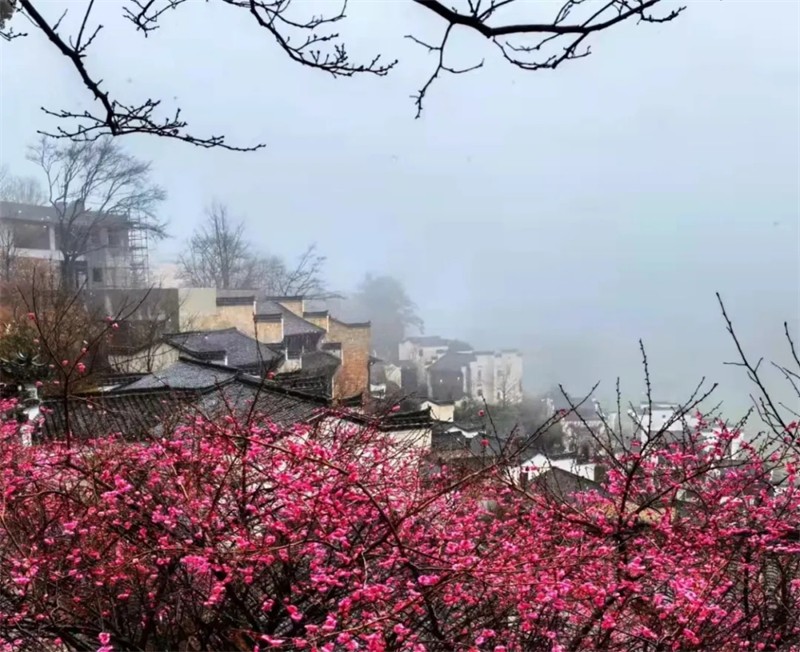 ���L������ϼů,��Ұ�܇��ľ��