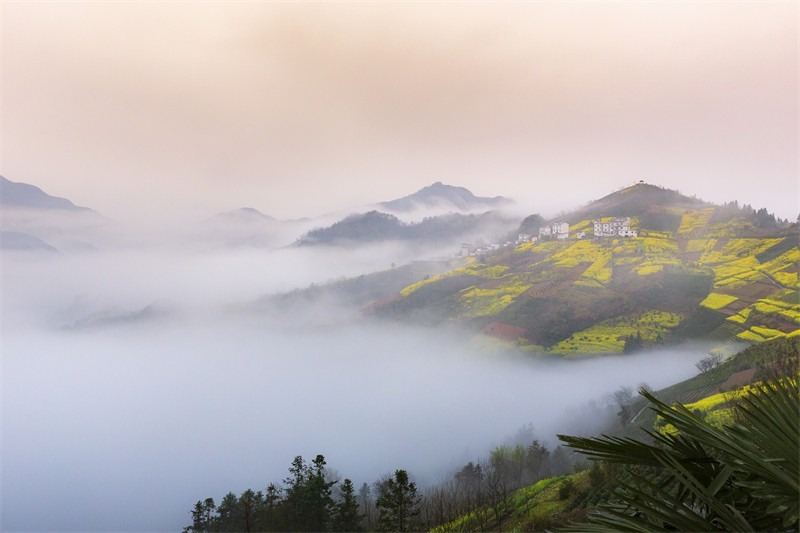 ���L������ϼů,��Ұ�܇��ľ��