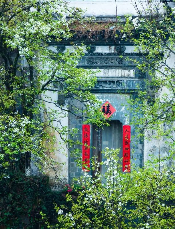 ���L������ϼů,��Ұ�܇��ľ��