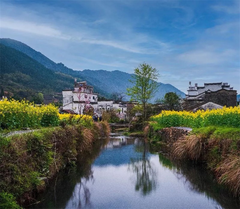 ���L������ϼů,��Ұ�܇��ľ��