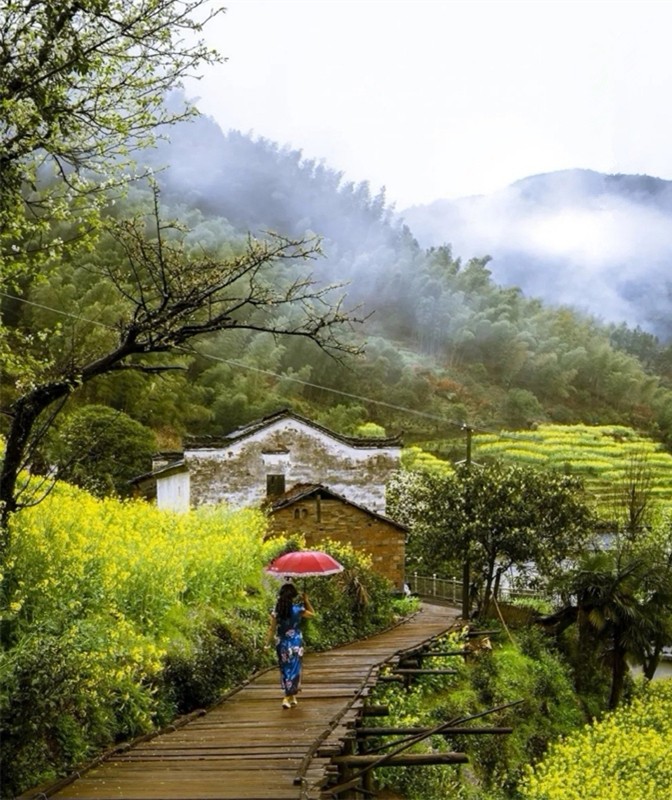 ���L������ϼů,��Ұ�܇��ľ��