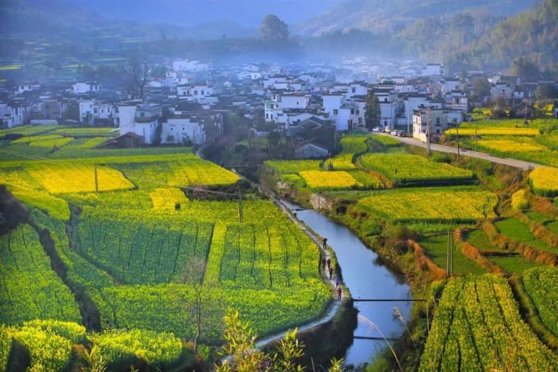 ���L������ϼů,��Ұ�܇��ľ��